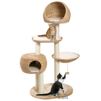 arbre a chat feuille